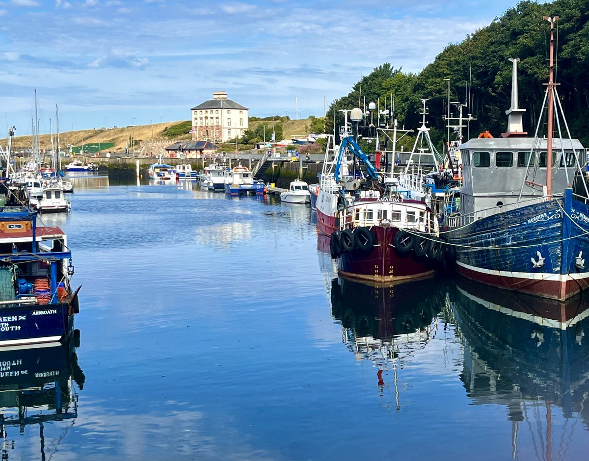 ShotsBug's tweet photo. A sunny Eyemouth Harbour @VisitScotland @StormHour @ThePhotoHour #scottishborders https://t.co/7jMLRm4fHe