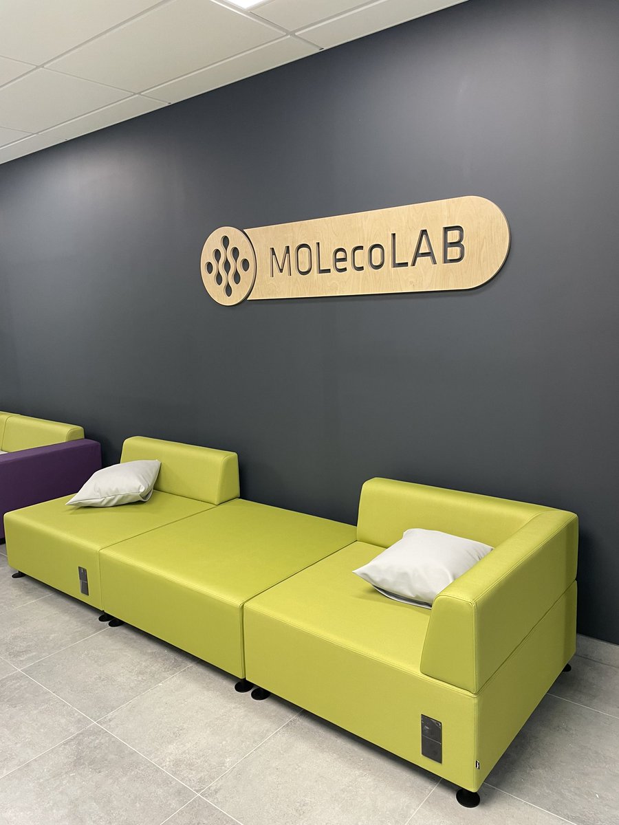umedlodz's tweet image. Ostatnie przygotowania przed poniedziałkowym otwarciem #MOLecoLAB - kompleksu supernowoczesnych laboratoriów badawczych, w których nauka i biznes będą wspólnie opracowywać i testować innowacje medyczne. A wszystko to z pomocą środków z RPO @lodzkiePL