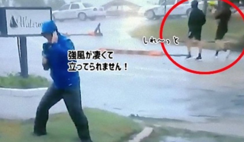 確かに強い台風が来てるんですけど、こんなん見てるとテレビを信じれないんですよね