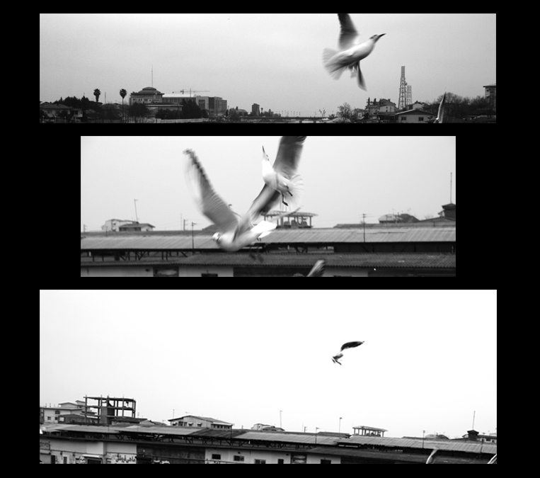 ghazallkashi's tweet photo. 🧐watch out my new drop🔽
🕊️RemembeR HoW TO FlY🕊️
NO DESCRIPTION 
SOMETIMES
IS BETTER DESCRIPTION

💰10 edition 0.50 #tezos on #objkt

https://t.co/cI8DA1gxf3

#NFT #NFTcommunity #wagt #photez #monochrome
#nftphotography https://t.co/Ec1iKwTgQY