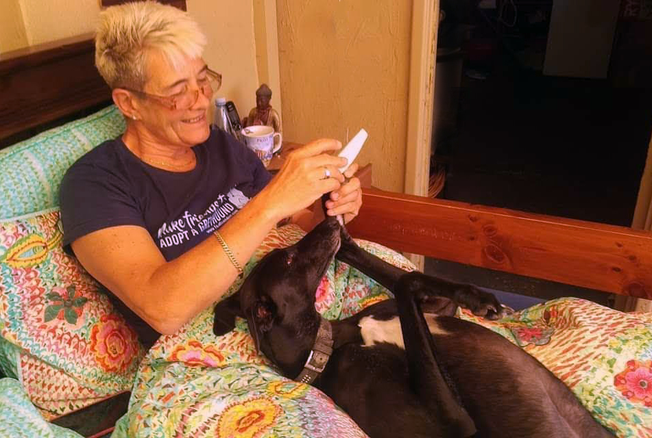 RECORD NUMBERS FOR RE-HOMING

The announcement that more than 2000 retired greyhounds have been re-homed into pet life in the space of just 12 months – a record for Greyhound Racing NSW – has been hailed as a milestone moment and big success.

Read more: greyhoundfacts.com.au/record-numbers…