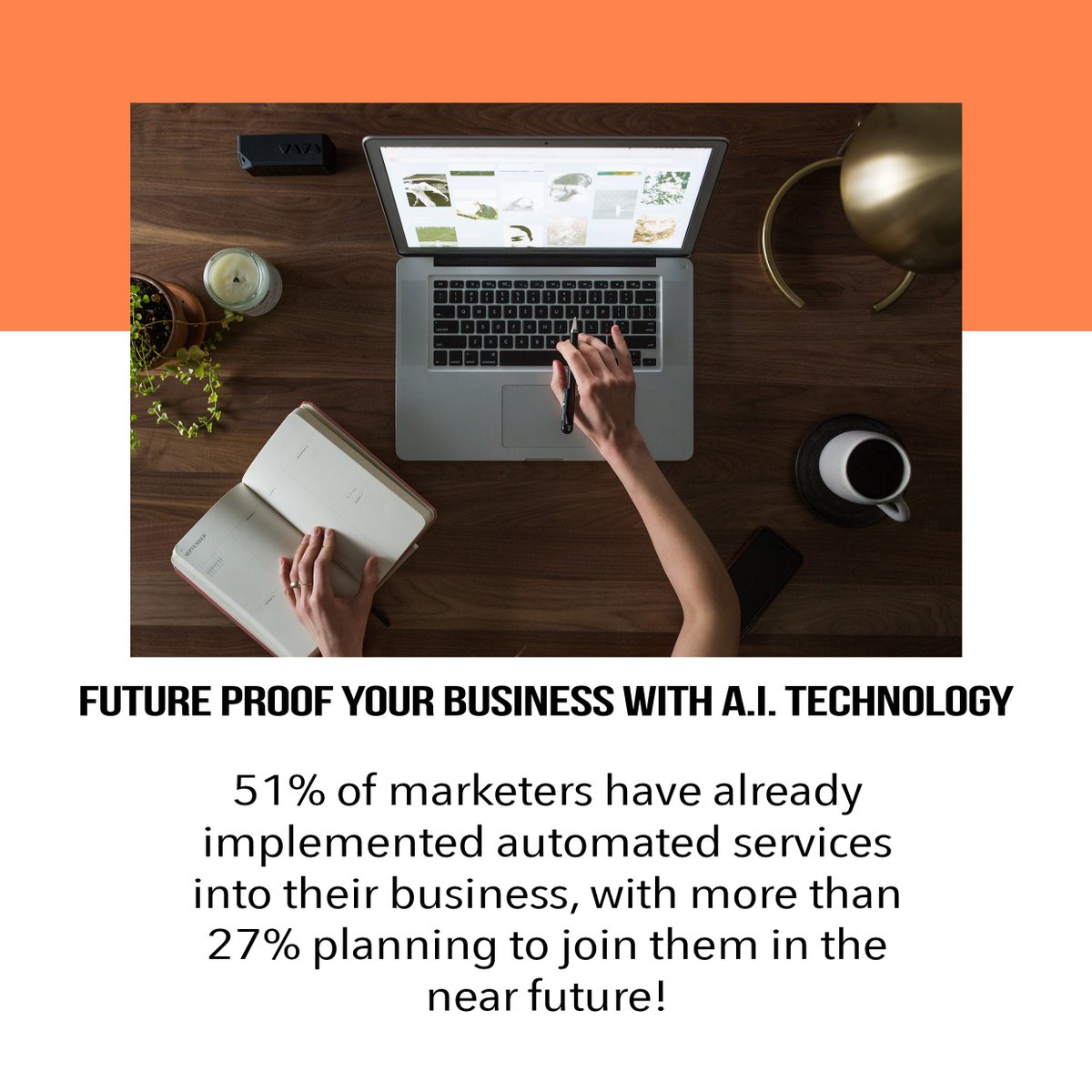 HostingPlusLtd's tweet photo. This month only‼️ 
#Free Domain &amp; 6 mts Hosting🥳
Start your business with tomorrows technology and have an unfair advantage over your competitors🥂
#digitalmarketing #webdesign #webdesigner #webdeveloper #ecommerce #startup #startupbusiness #entrepreneur #unitedkingdom #british https://t.co/jd7srIU1rU