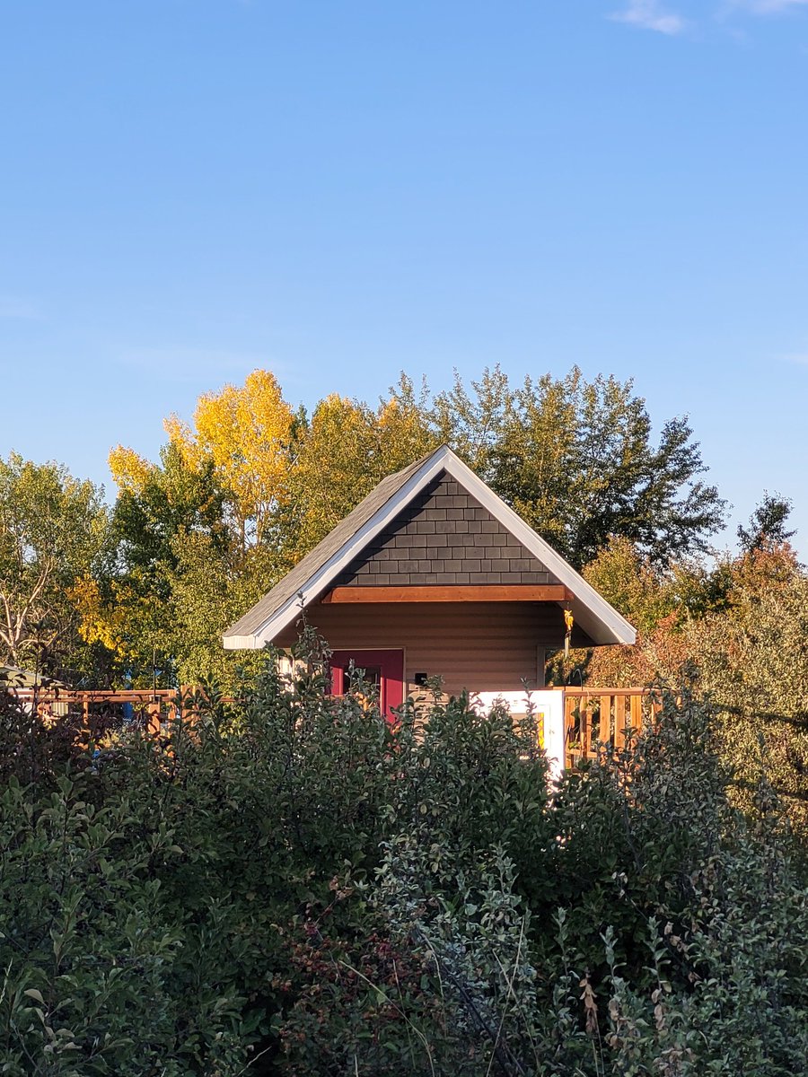 DeeDubbia's tweet photo. #FarmersField Taj-Mah-Shed is complete @mkendel599 https://t.co/6n8ZWKyU9x