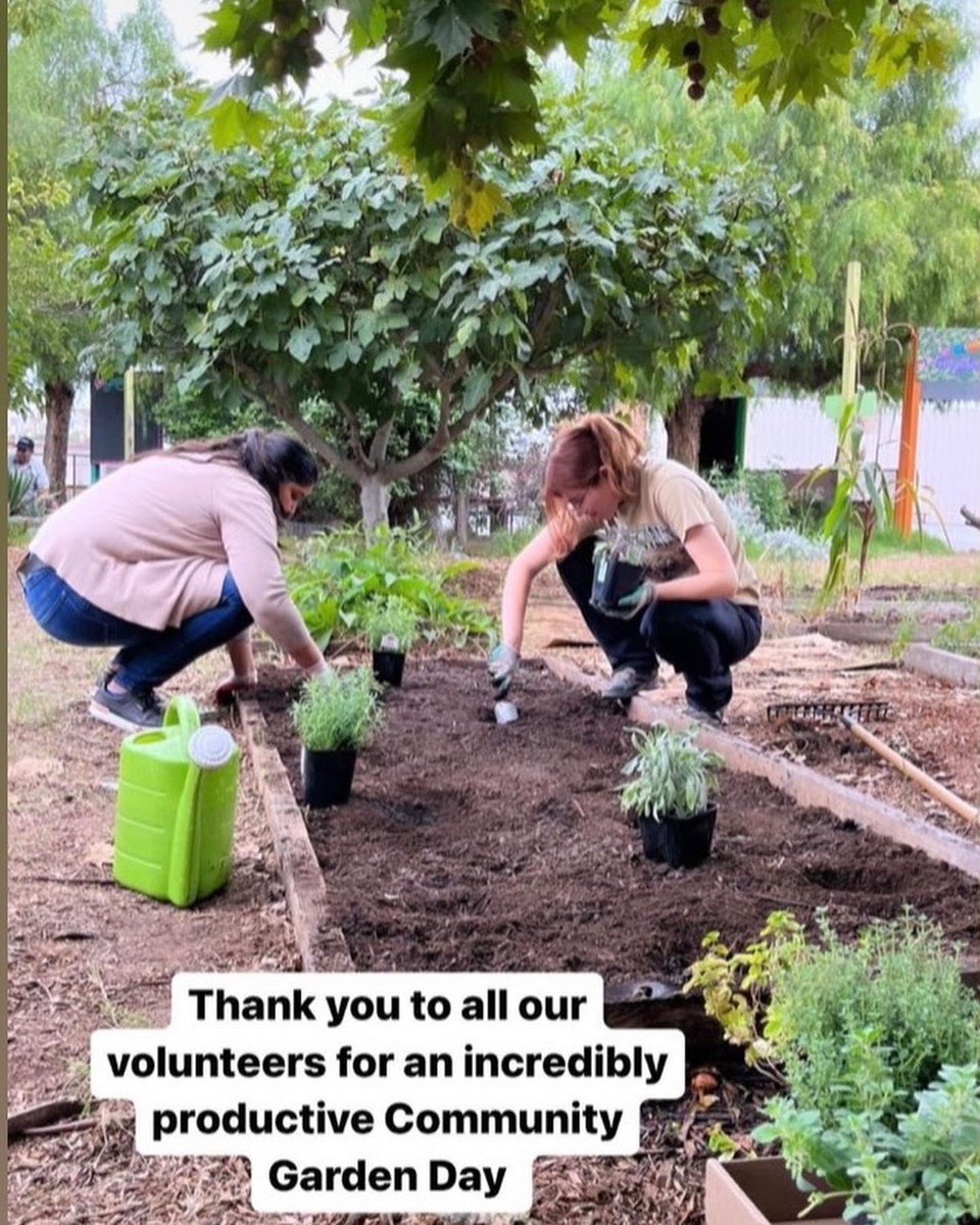 Thank you @gardenschoolLA and all partnerships for your support in making @24thstelementary a place where children and the community can enjoy a green sustainable space. @LAUSDSup @LASchools @ManualOf @lausd_ldc @DrSandraHernand @DrGeorgeMcKenna @LAUSD_Achieve @weareangelcity