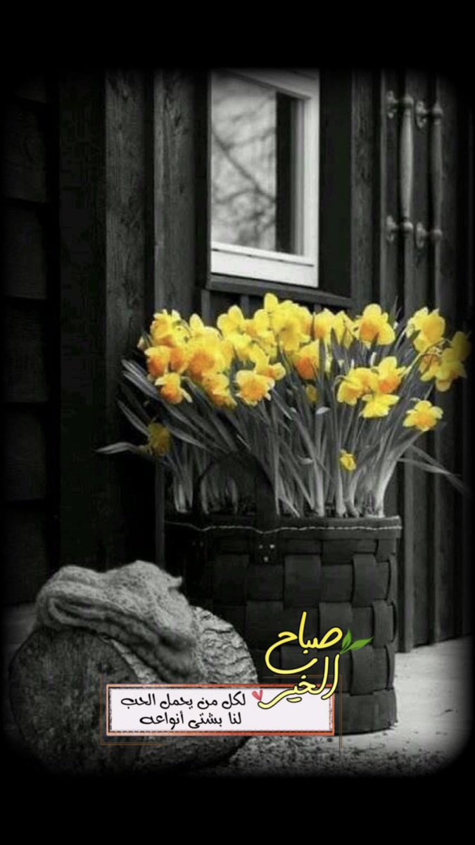 Y44Uit6fPiICutu's tweet photo. رضاك يارب المخاليق غايّه ،، https://t.co/Zoz5hjDATZ