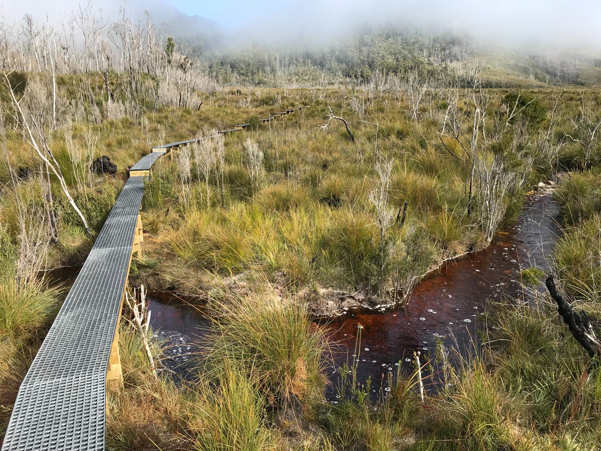 TasmaniaParks's tweet photo. Overnight registration for the Eastern Arthur Range Traverse is now open. There is a daily cap of 6 walkers.  Walkers who only want to focus on Federation Peak can register for the Farmhouse Creek Track, but must use the Cutting Camp campsite, for a maximum two-night stay. https://t.co/jDpM9ezMpU