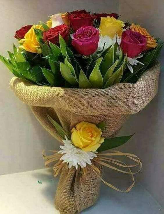 Silvia Aniceto Martinez (@aniceto_silvia) on Twitter photo 