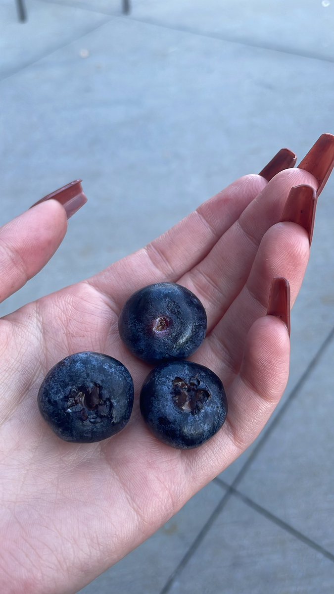 H A L E Y tweet media