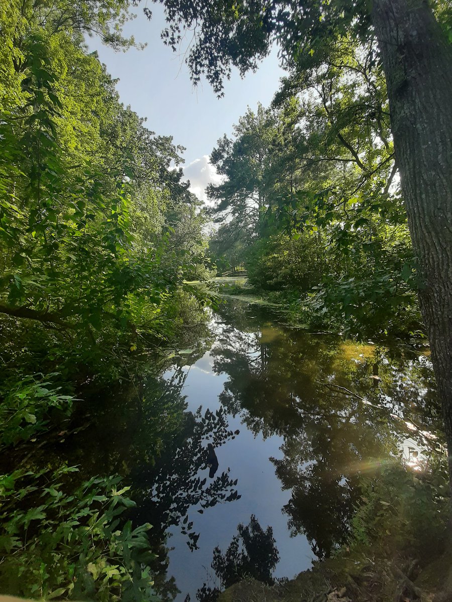 I adore this place. 😍🥰