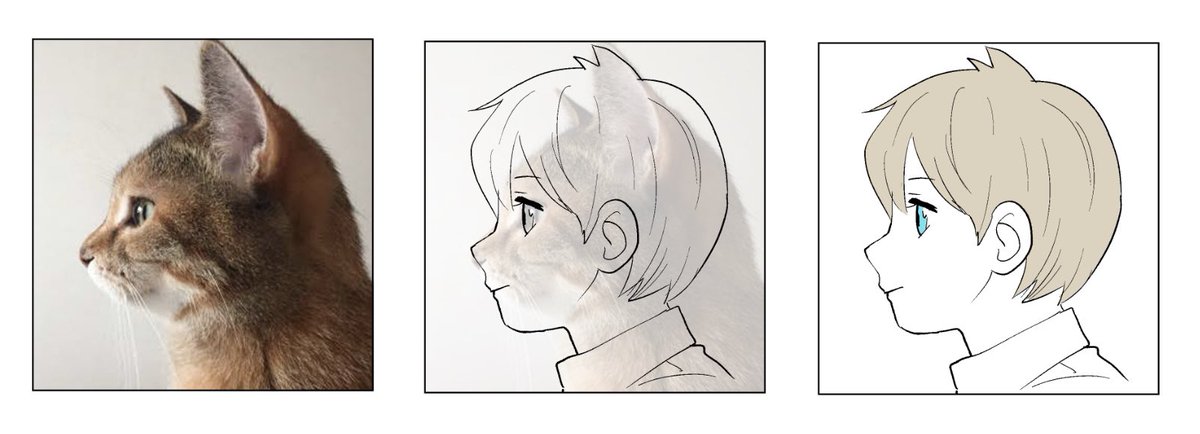 ねこです https://t.co/VADC4LCcOt 