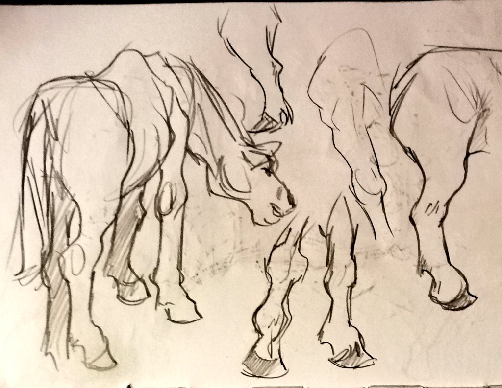 Got invited to a farm-homestead, brought a sketch book and had a go at the animals! 