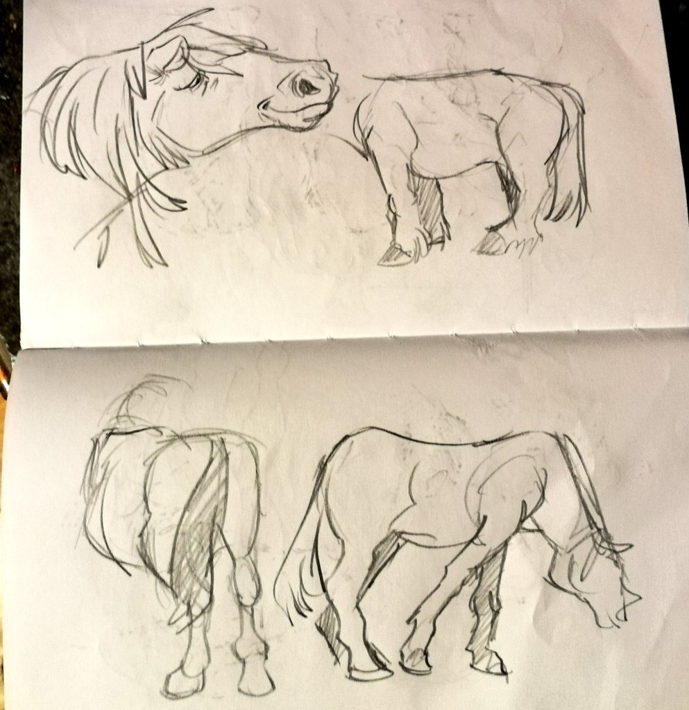 Got invited to a farm-homestead, brought a sketch book and had a go at the animals! 