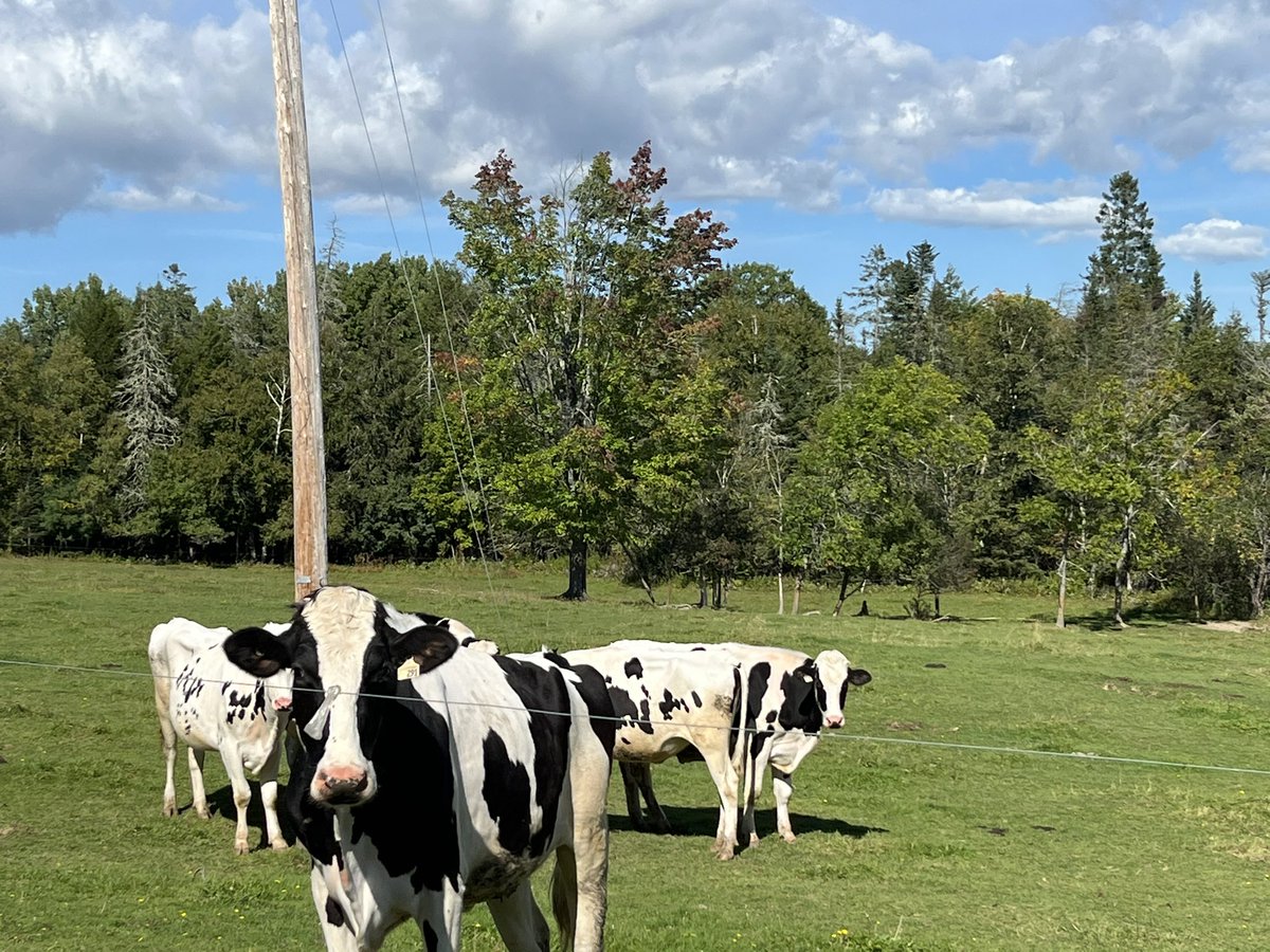 RichardBragdon's tweet photo. Our family commemorated NB’s Annual Open Farm Day, by visiting some local farms &amp; apple orchards in our region. Over the next few weeks be sure to visit some of our local orchards &amp; veggie stands to support our local farmers! #buylocal #supportlocal #openfarmday https://t.co/vTnswT4ndS