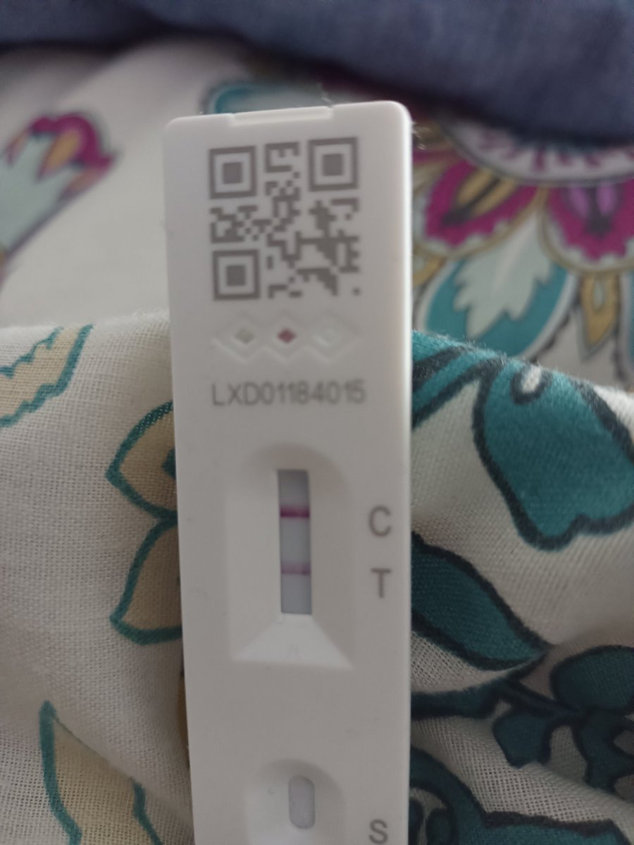 RebeccaDW970's tweet photo. Well bugger, I've avoided #COVID for 3 years and it's finally got me! Boo hoo! But, I do get to be in my bed & have lots of fab books to read, with added paracetamol.. #covidtime #feelingyucky #bleugh @mooseandmouse my Big Book of Nonsense is cheering me up! https://t.co/pEc8kVUUbB