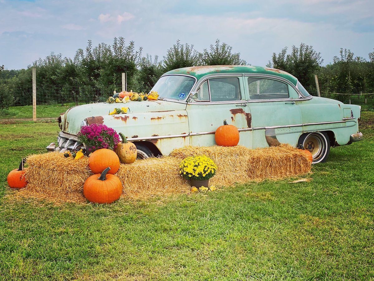 2 items to note as our sunflower blooms come to an end. 

Starting Sept 19th we no longer allow pets on the farm. 

Our hours of operation are:
Weekdays 10-5
Weekends 10-6

We’re currently picking Gala &amp; Mac. Cortland ready soon. 

Please book a reservation for priority access.