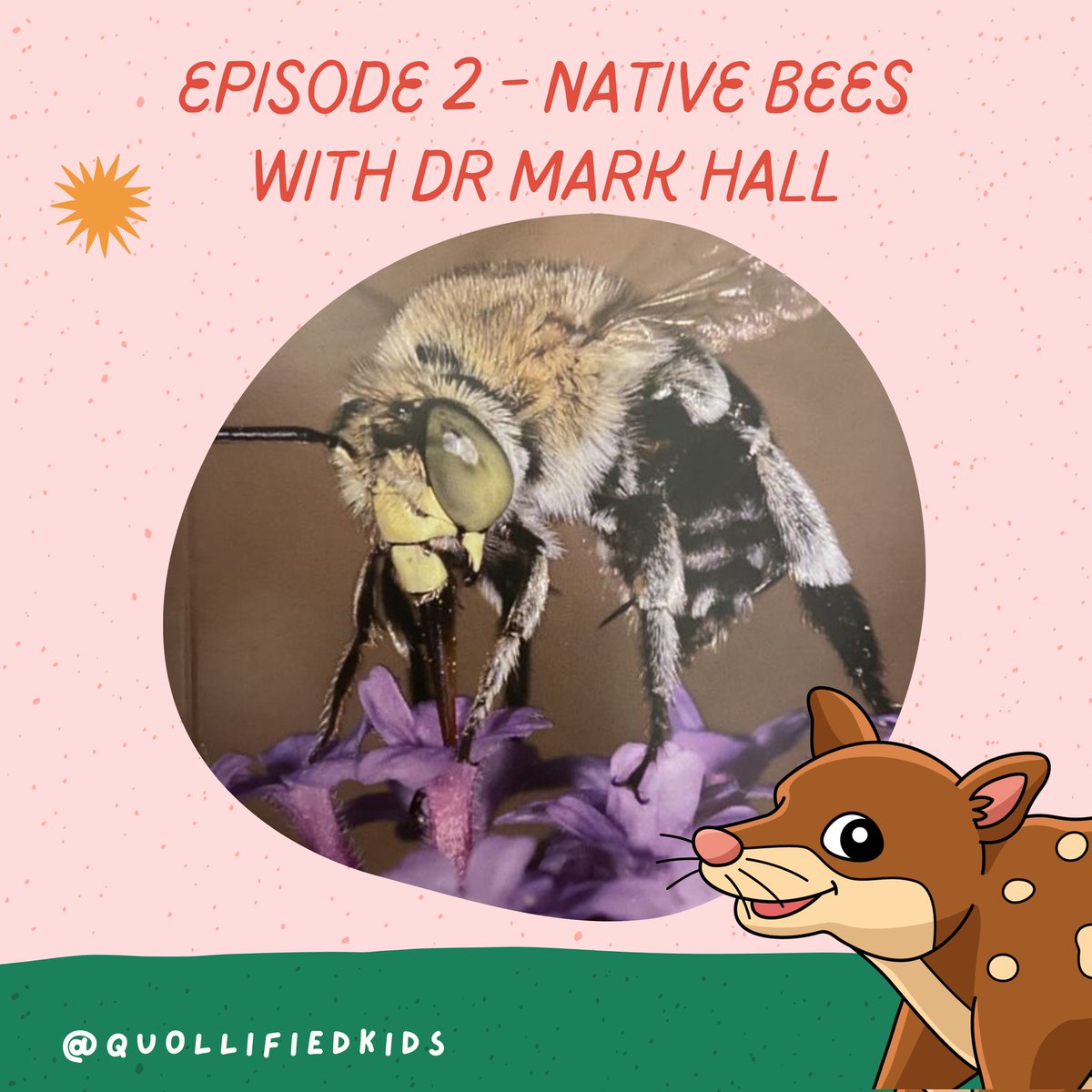 In episode 2 I speak with Dr Mark Hall <a href="/TheBeeEcologist/">Mark Hall</a> about Native bees. These amazing, important creatures are so diverse and interesting! This episode is split into 2 again because it's packed full of awesome info!
#AustralianPodcast #AustralianNativeBees