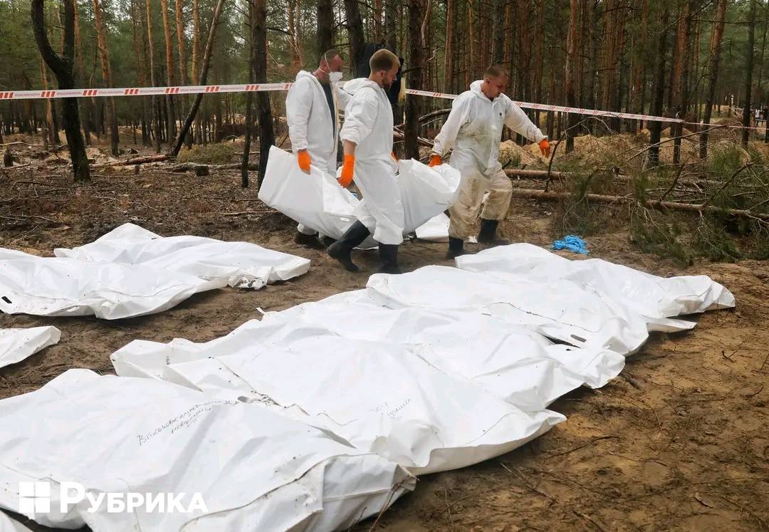 Defense of Ukraine tweet media