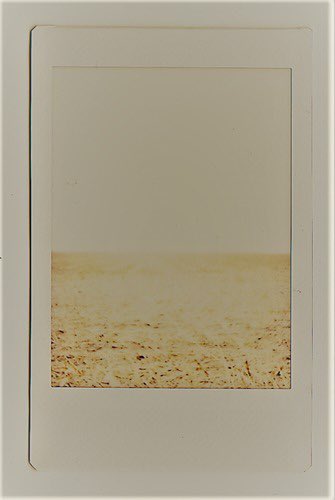 KING2AGOD's tweet image. -- ; IT TAKES THE WOUND A MOMENT TO BLEED. 

not affiliated with wiki/author. 
mun and muse are adults.
more information below.