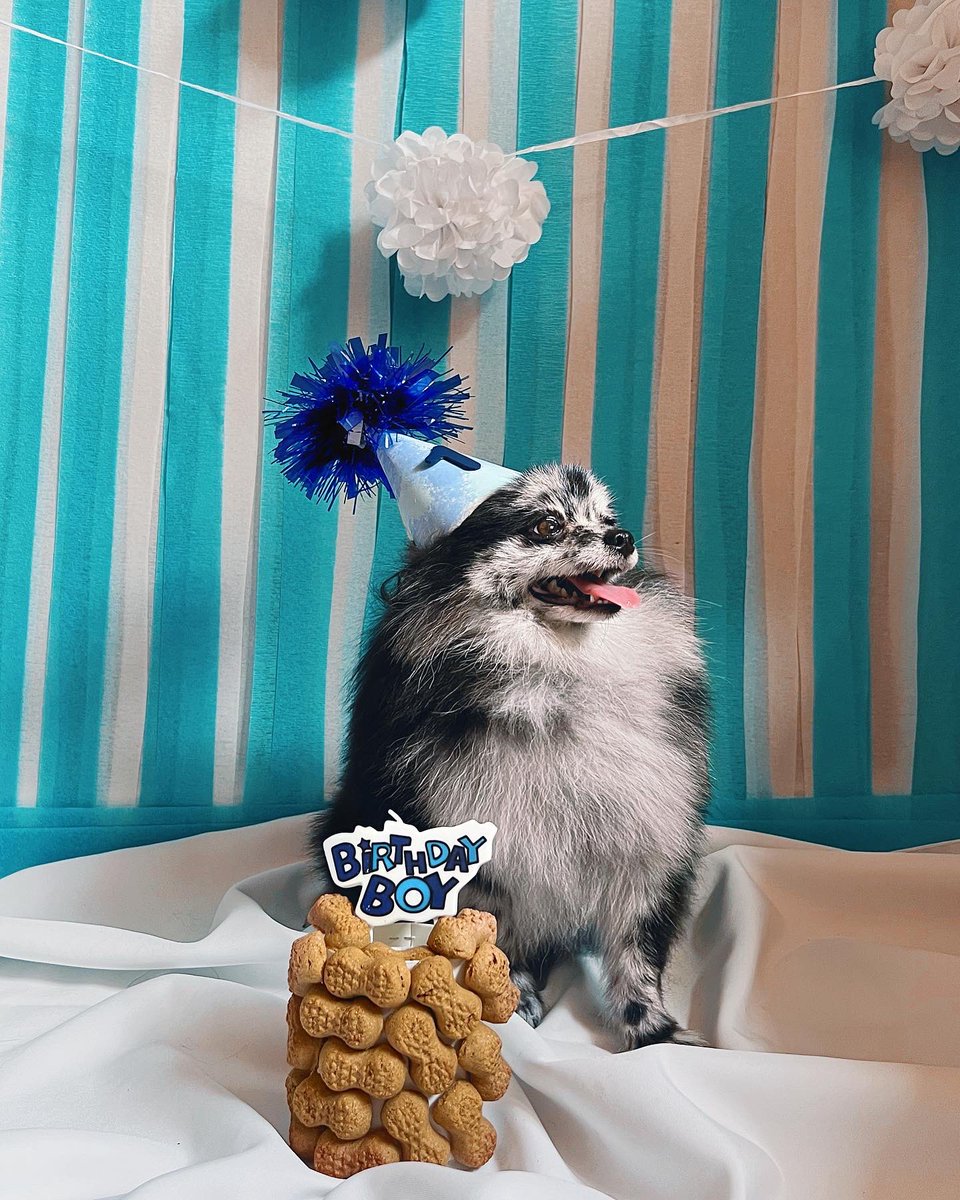 Just wanted to share my baby’s 1st birthday pictures🥰💙