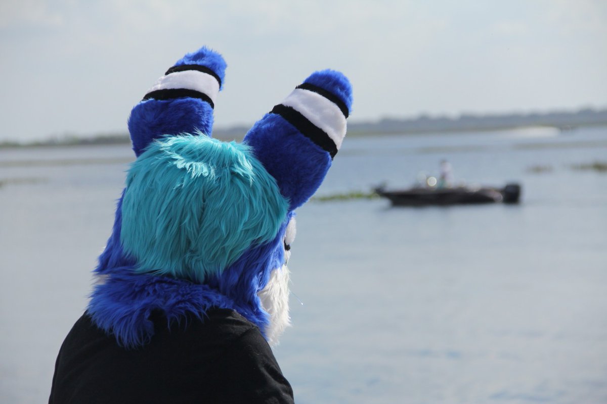 Nicholai Cabbit Gaul tweet media