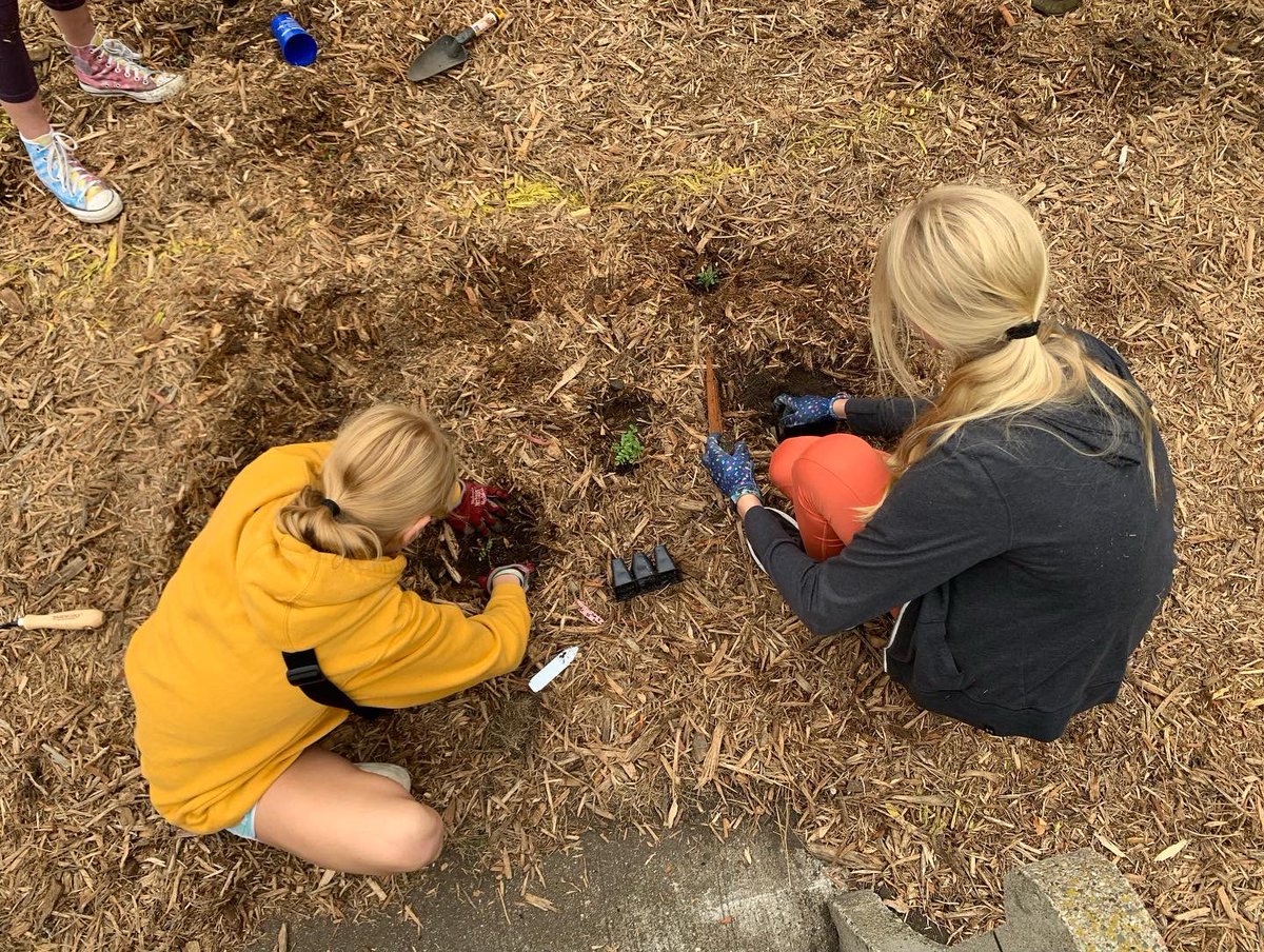 GrowGreenHearts's tweet photo. Youth led with justice, joy & prairie plants today! 💚After land acknowledgment 17 youth from 5 churches added 256 #nativeplants to create a brand new #pocketprairie at @LutherSeminary @LutherFaithLead @ELCAyouth @SaintPaulELCA #PlantPrairie #GGHYouthLead #GrowingGreenHearts💚 https://t.co/t73awnPe7W