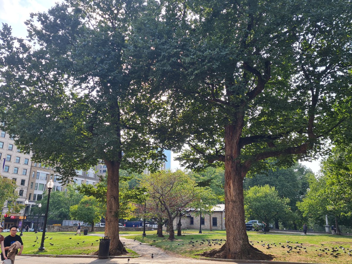 Hey_Jude71's tweet photo. And so it begins... #BostonintheFall #Boston #belatedbirthdaytrip https://t.co/sz7DbXG4ol