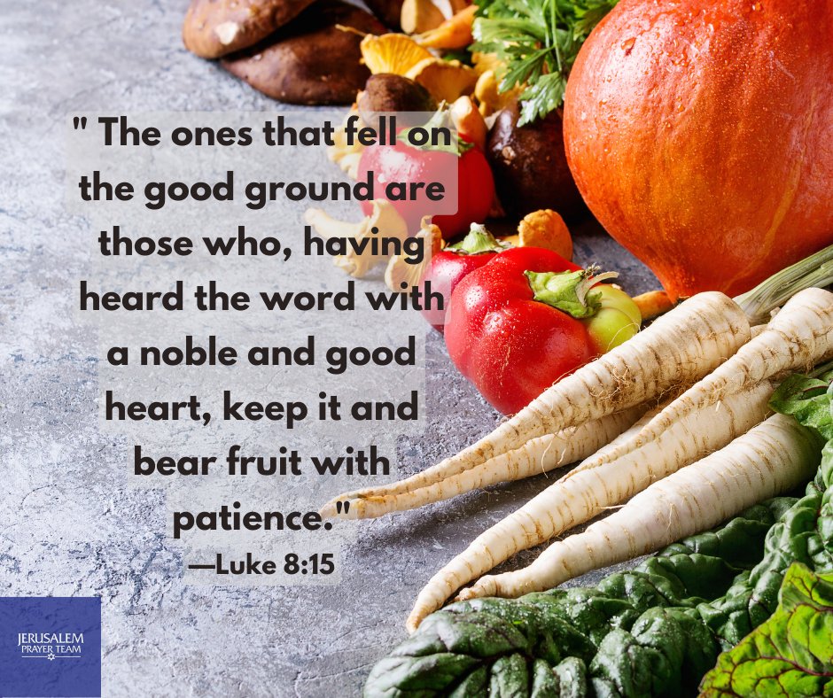 jerusalemprayer's tweet photo. "The ones that fell on the good ground are those who, having heard the word with a noble and good heart, keep it and bear fruit with patience."
—Luke 8:15

[See also, Ephesians 2:10]

#CreatedToLove
#GoodLastingFruit
#FaithForward
#CreatedForPurpose https://t.co/zEIOCsm1rD
