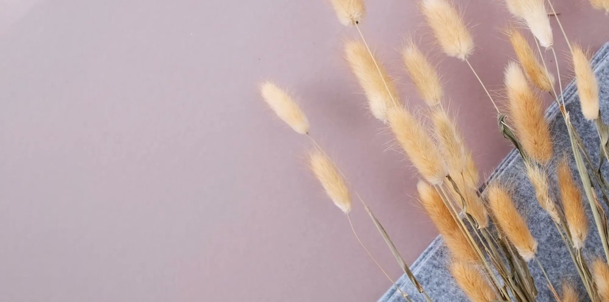 ggpotter's tweet photo. My very wonderful and talented friend, Lisa Baker is hosting a two day mindfulness retreat just outside of Madison, Wisconsin.  I love her work and highly recommend working with her.  Here is the information if you're interested. #mindfulness #retreat

https://t.co/XAC6Dn4K3I https://t.co/lZ896dektK