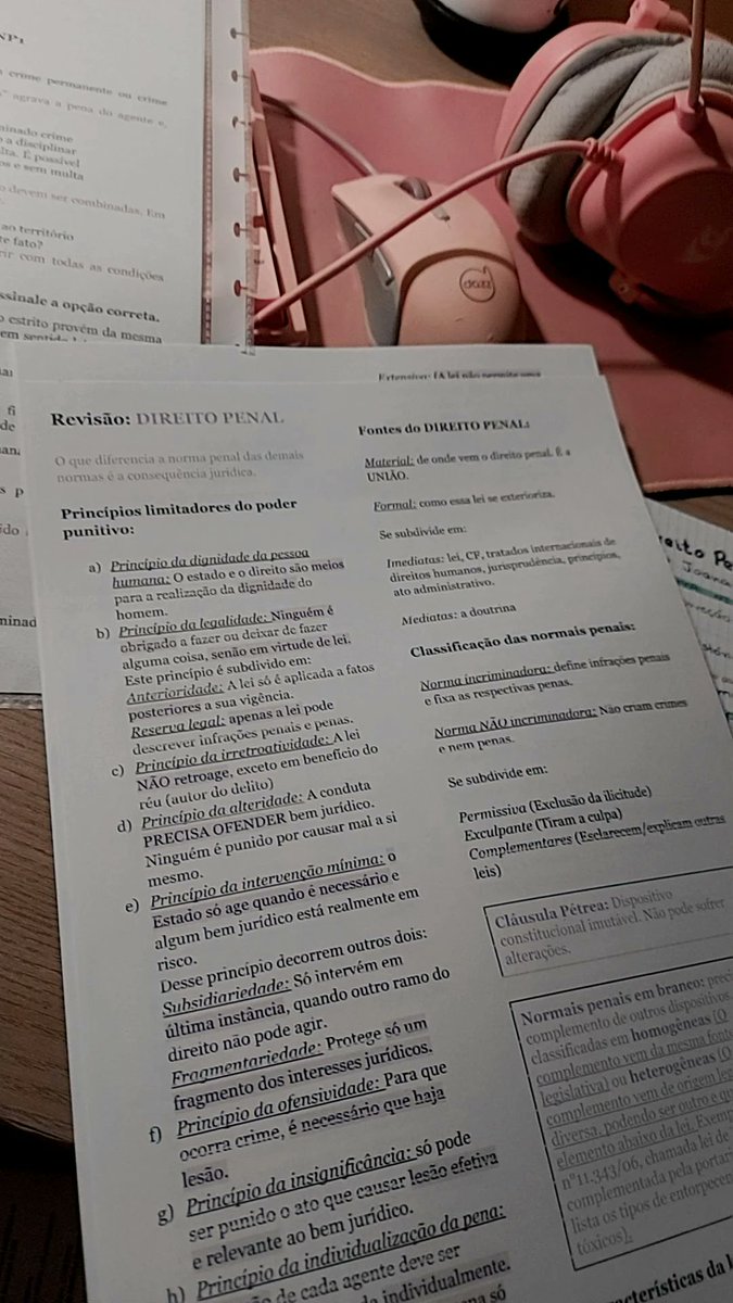 catnipstudies's tweet photo. Meu resumo digitado ficou uma gracinhaaaaaa https://t.co/jcSQfiRNQF