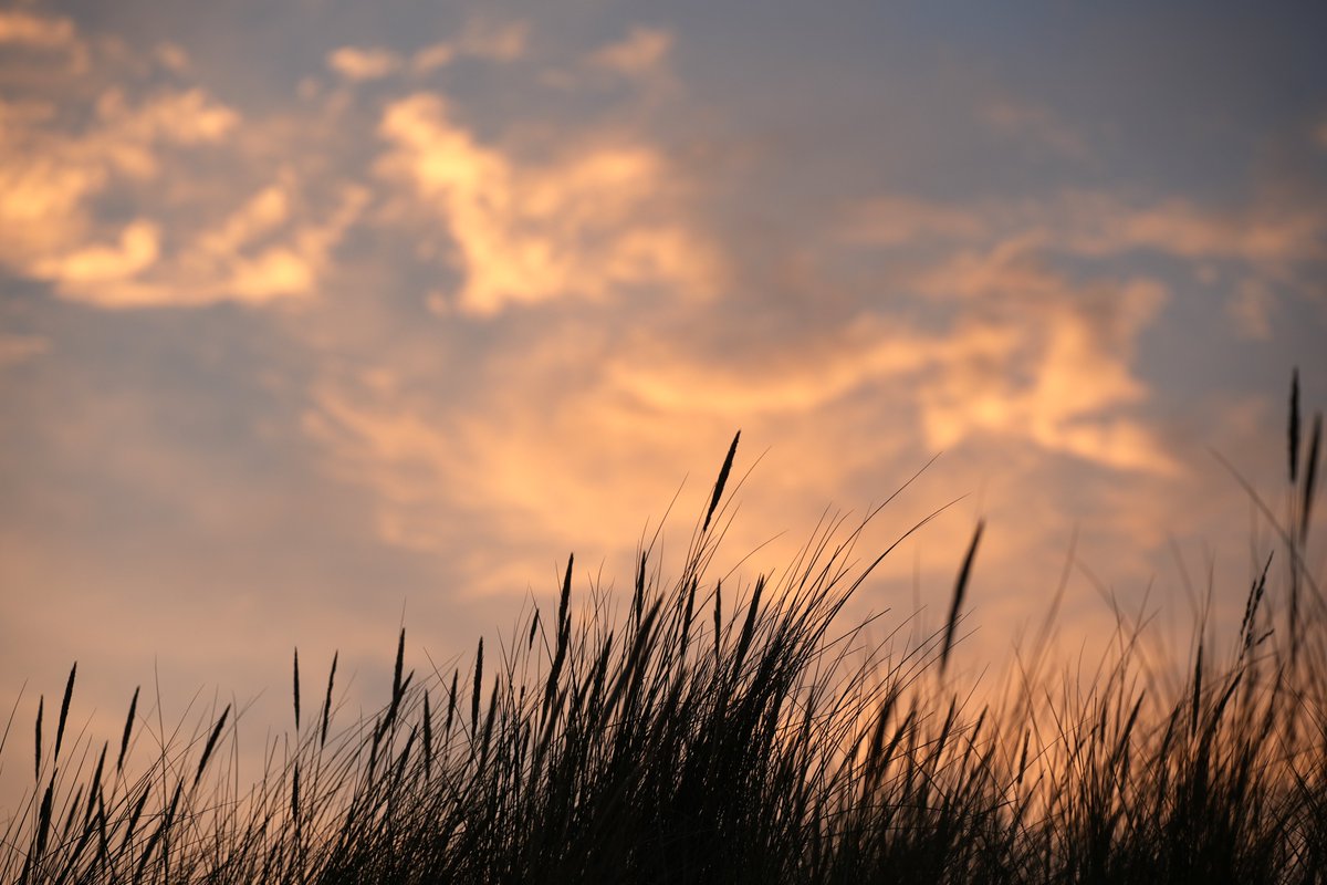 dezeekust's tweet photo. Als je niet kunt slapen en door de twitter tijdlijn scrollt... 

#dezeekust #voorjou https://t.co/YLsnQsFx3e