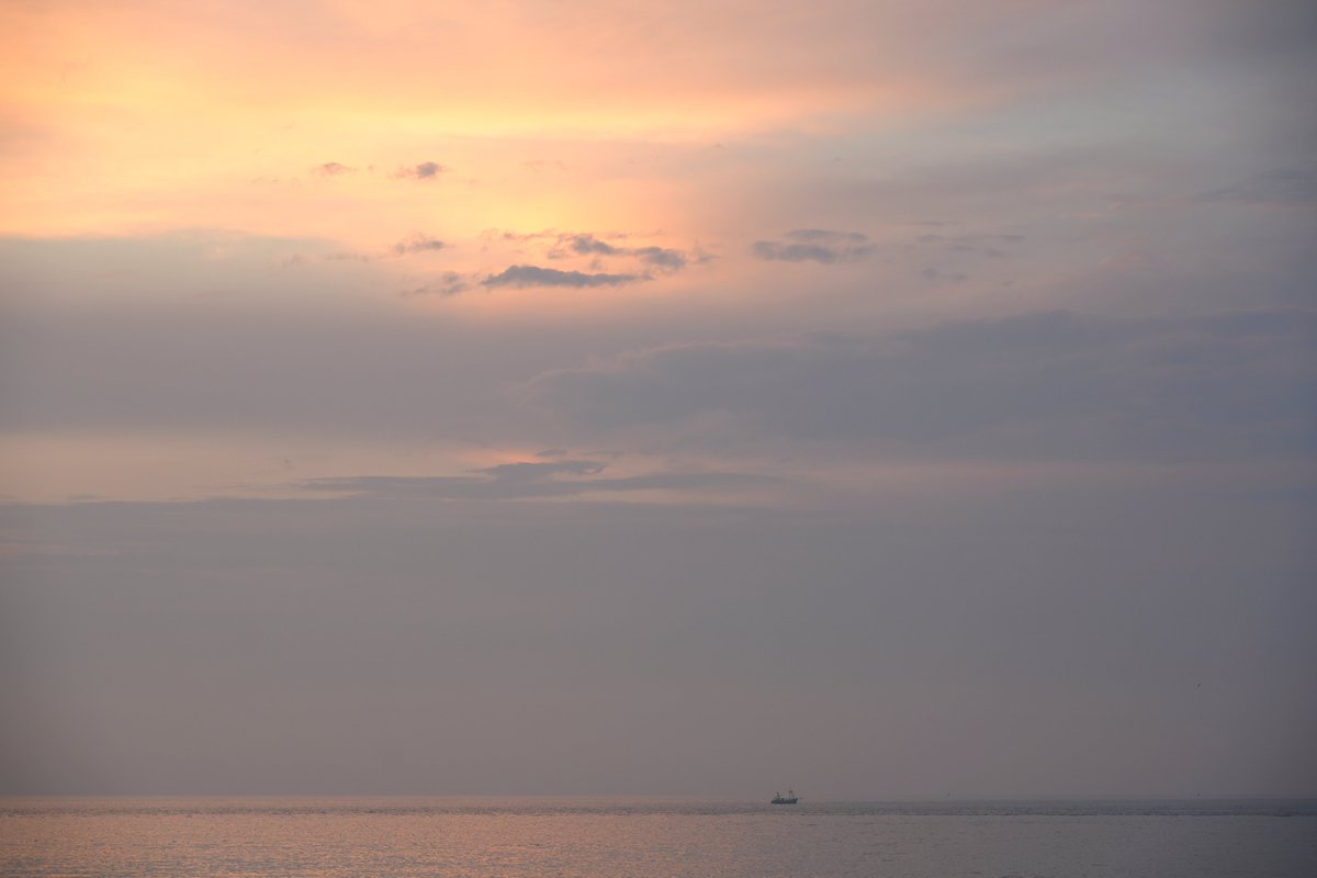 Als je niet kunt slapen en door de twitter tijdlijn scrollt... 

#dezeekust #voorjou