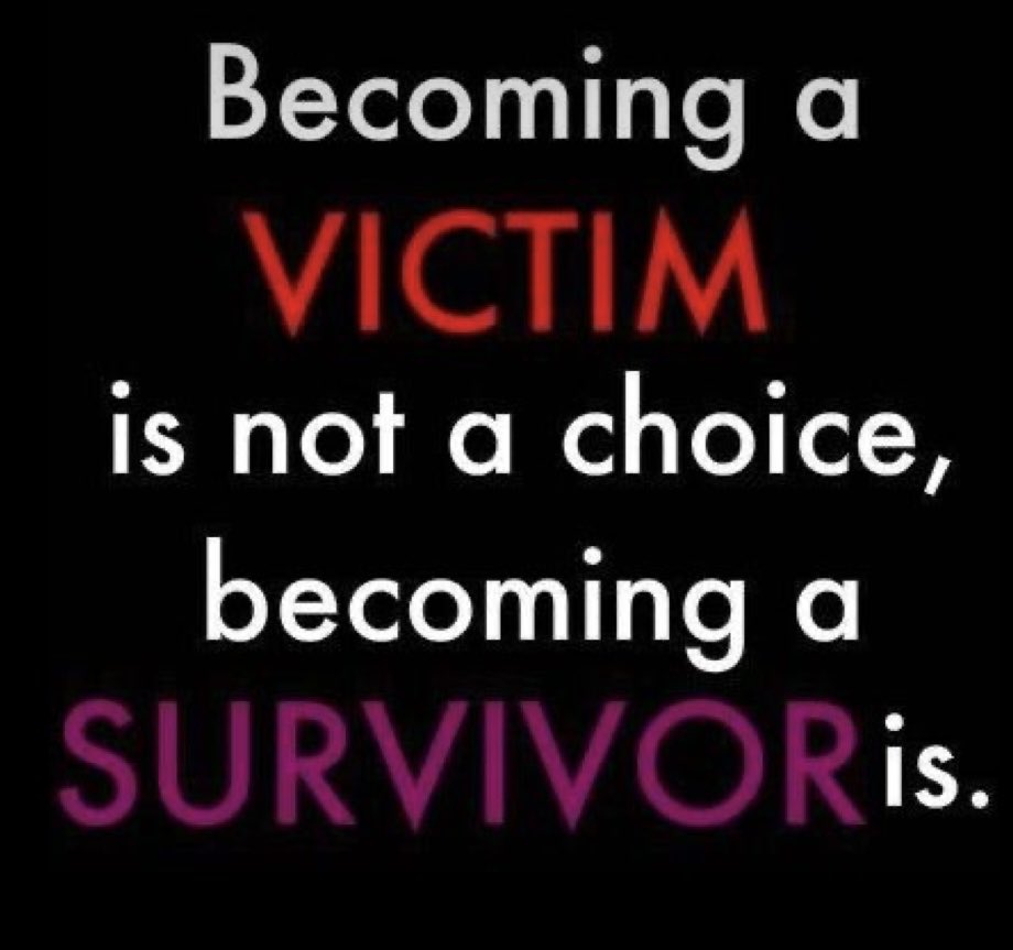 The One That Fought Back. ⏳ tweet media