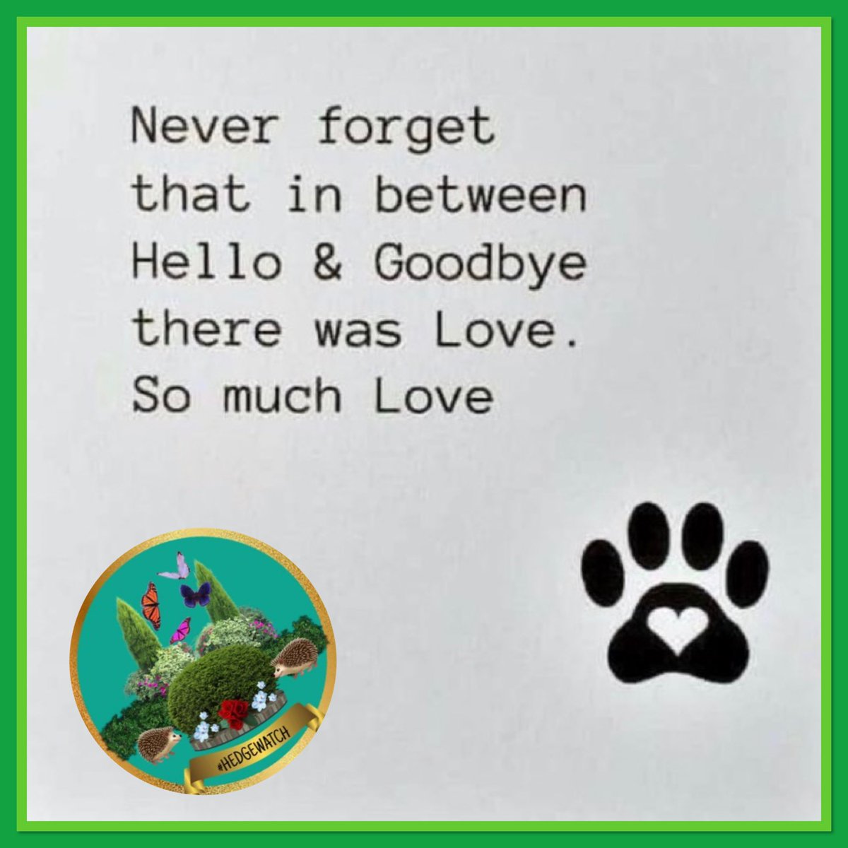 Hedgewatch tweet media