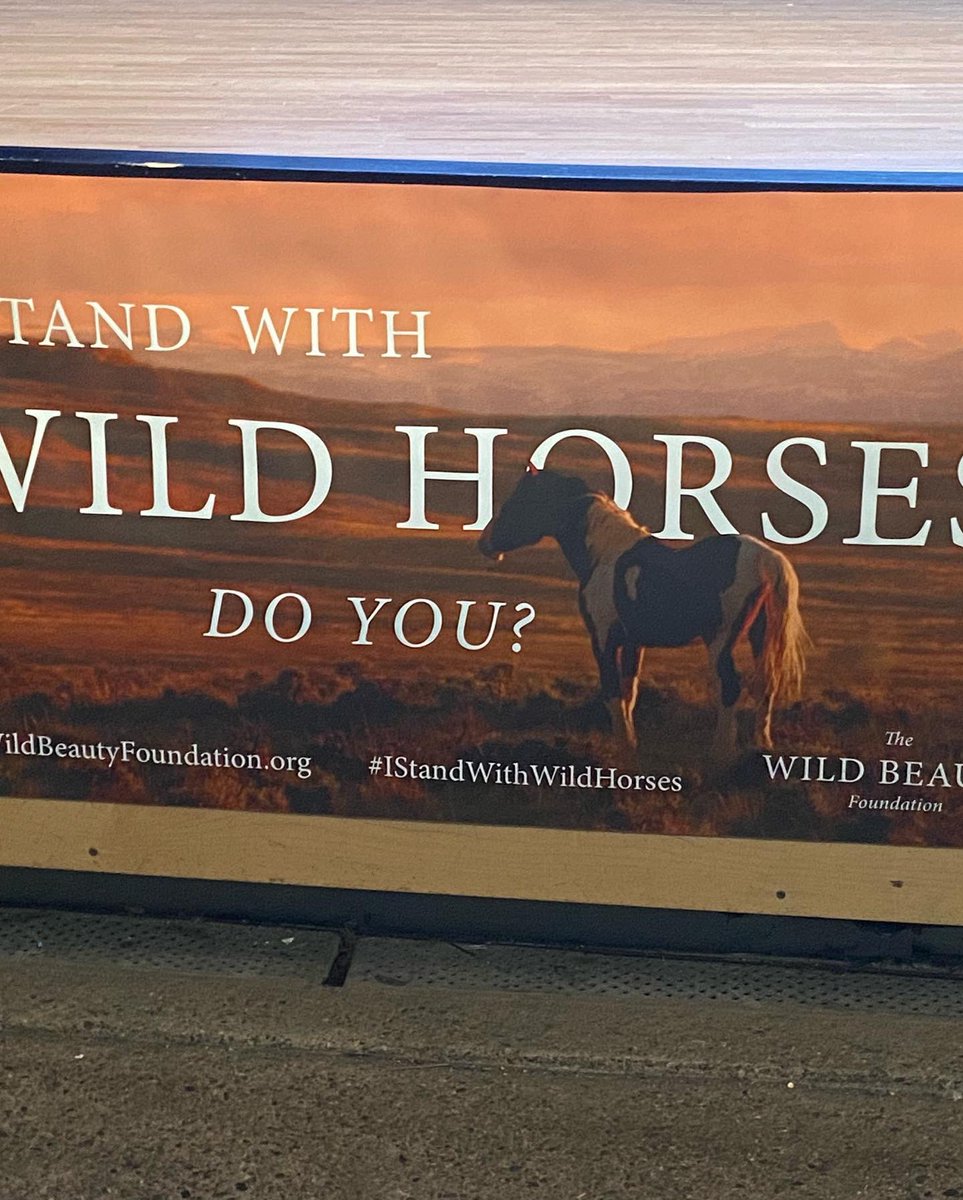 gpl4329's tweet photo. “Wild Beauty” world premiere  @Breckfest CO 1st Gent Stands w/ Wild Horses. #film #Congress https://t.co/OClB9h8kRj