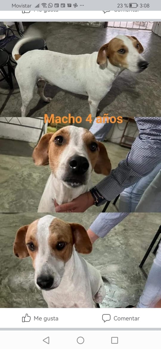 angelakge's tweet photo. Todos están desparasitados https://t.co/zYNamI3IB2