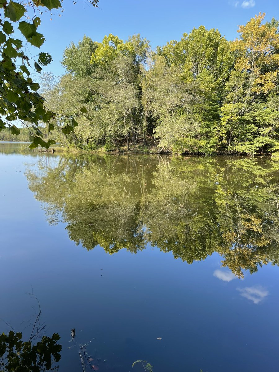 FAAN_910's tweet photo. Took my son to ECU yesterday for a clinic. Decided to find somewhere to fish so found this place called Wildwood park in Greenville. Hurt the leg not paying attention to the decline l, but that bass makes it worthwhile. https://t.co/GwD3RmlMnB