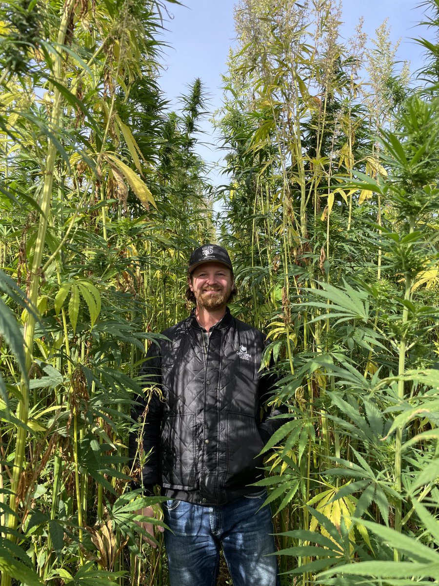 We are closing the gap on what we can offer for fiber genetics.