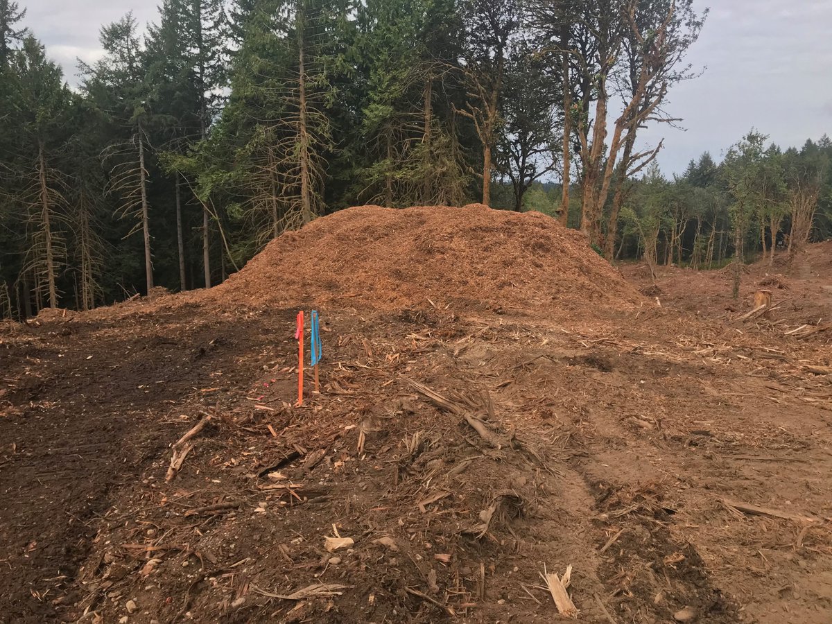 olyecosystems's tweet photo. Urgent Fundraising Appeal for Trail Building at Cooper Crest - https://t.co/Huye1mH14y https://t.co/kQr1lyMweC