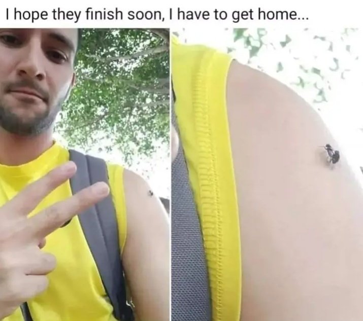 Zakarazzi (@slovakpi) on Twitter photo 