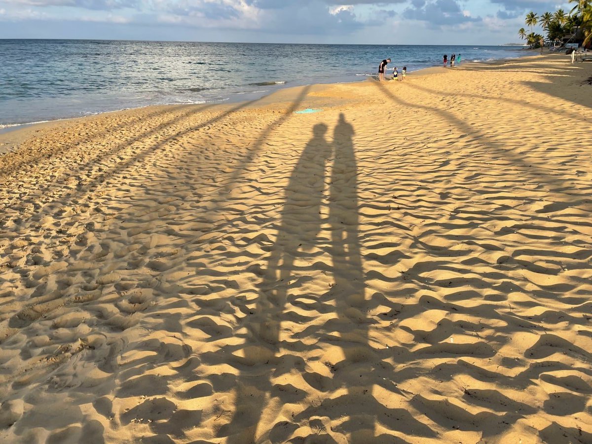 maheidyc's tweet photo. There are no secrets to success. If there are, there are only two. The first is to persevere to the end and never give up. The second is to look back at the first secret when you want to give up. https://t.co/WXPZztUpiu