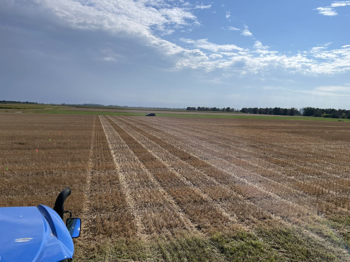 WheatInnovation's tweet photo. Glad could catch up planting in the weekend, three days lost due to fever. Thanks @Cody_A_Hall and #TeamWheat. Planted advanced breeding trial, NUE trial at Brookings in Oat stubbles #NoTillWorks #FallMoisture #LivingSoil #GrowResilientWheat @SDState https://t.co/9SkikfSTTA