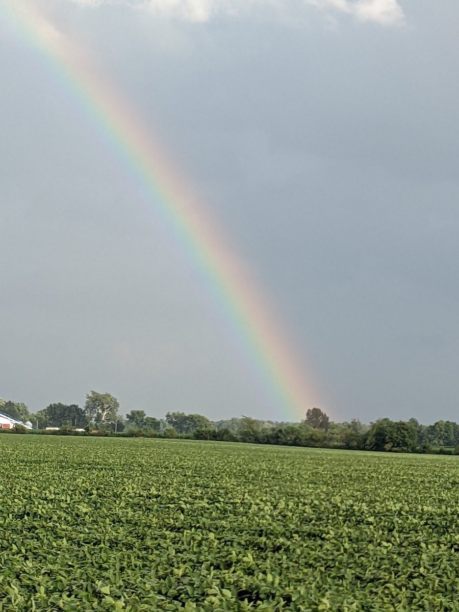DarlenePerrico3's tweet photo. Always know that there will be a rainbow after the rain. #seethepositive #shareasmile #Twug #spreadloveandlovewillspread https://t.co/7EeXKyF49A