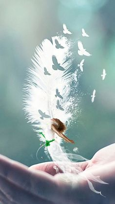 AuthorRKK_'s tweet photo. She wished to be free
Of her mind &amp; soul
She flew high
Trying to fill the hole
Lingering 
On the edge
Clasping onto hope
Her doubts
A dizzying kaleidoscope
Colors muted with the mutter
Of every desiccation
Awaiting the words that lead
To soul hydration

#soulscribbles https://t.co/SNbJ42lskh