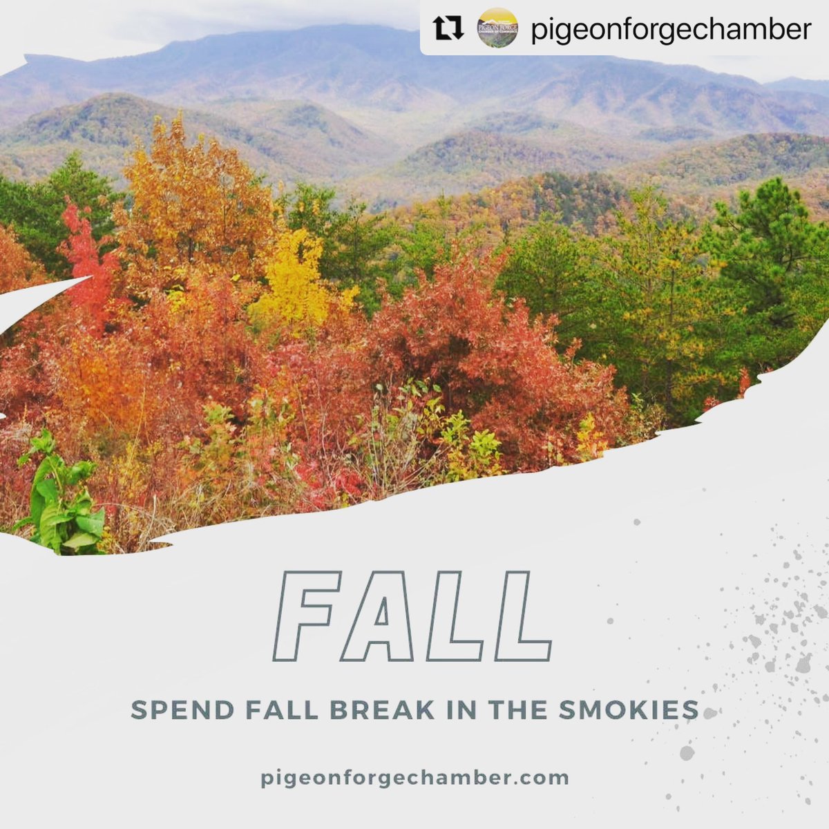 thecozycubcabin's tweet photo. #Repost @pigeonforgechamber π§‘ The Cozy Cub Cabin is here for your home base as you explore the foliage!
γ»γ»γ»
Fall is in the airπ Plan your trip today!
β’β’β’
#ThingsToDoInPigeonForge #pigeonforgevacation #smokymountains #pigeonforgetennessee #thecozycubcabin #cabingetaway https://t.co/X60eh9Hcou
