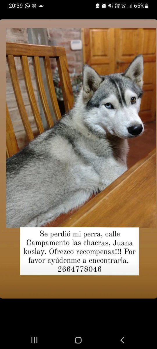 SAN LUIS!!!! SE AGRADECE DIFUSIÓN 🙏🙏