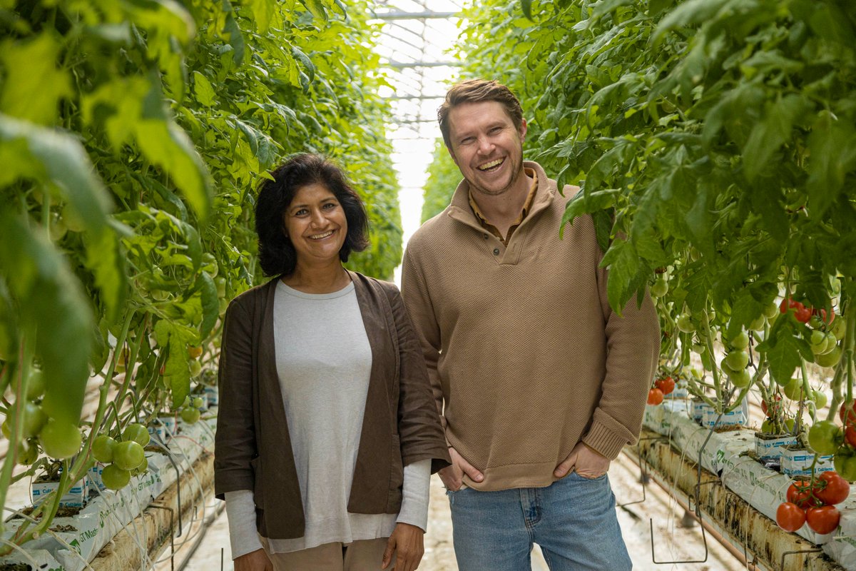 Catch the latest episode of "Freshly Picked with Simon Toohey" on Channel 10 at 3.30 pm on 21  September lonsdaletomatofarm.com
We share the same passion for vibrant, healthy, sustainable food that makes the most of fruit and vegetables
#freshlypicked #foodie