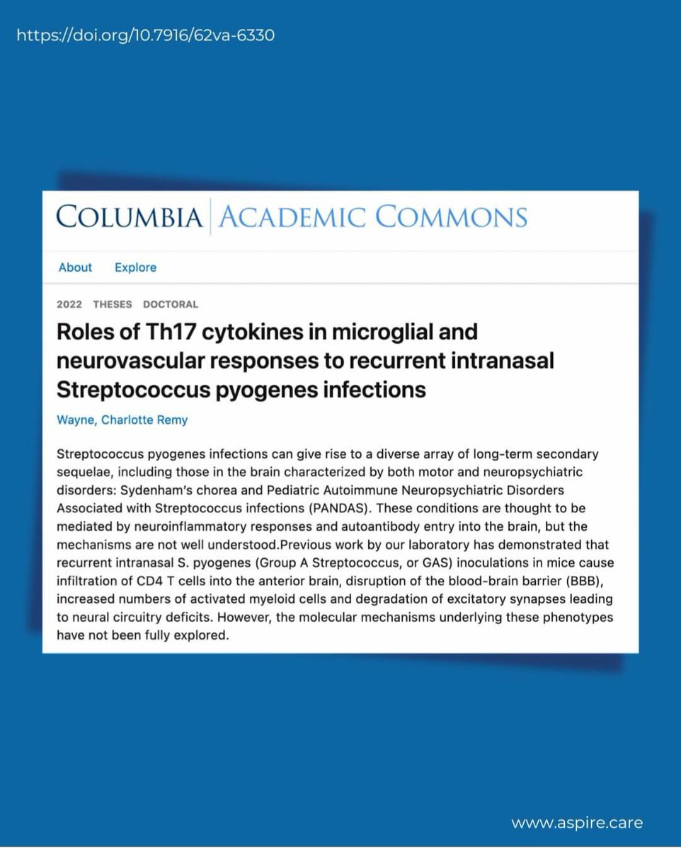 ASPIREpans's tweet photo. Roles of Th17 cytokines in microglial and neurovascular responses to recurrent intranasal Streptococcus pyogenes infections

https://t.co/S6m6PxAKC3 https://t.co/rPyCacoshX