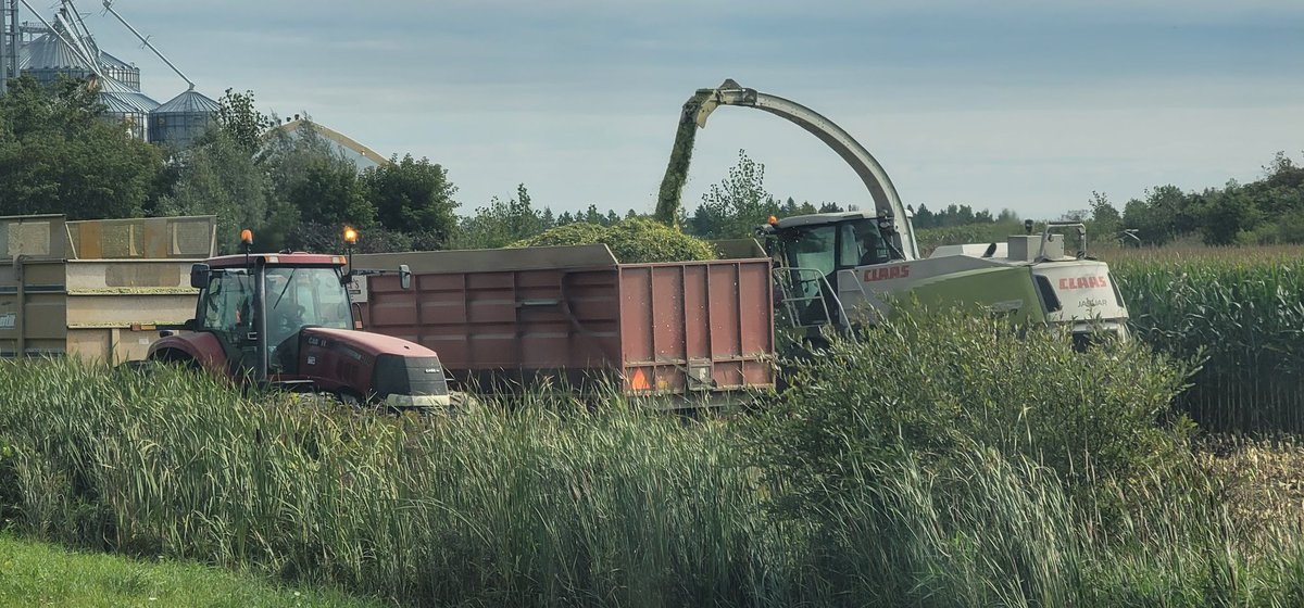 FosterDwight's tweet photo. Just about done silage for another year. Thanks to all who made this year's harvest one of the best. https://t.co/Pl1fyaxXV1