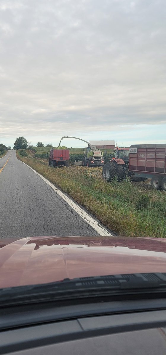 Just about done silage for another year. Thanks to all who made this year's harvest one of the best.