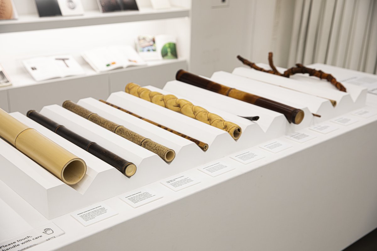 JHLosAngeles's tweet photo. Though commonly mistaken for trees, #bamboo is in the grass family, with 600+ types. Our exhibit installation is made with about 15,000 strips, held by tension. See it in person or virtually: https://t.co/V4suH5Mvbp #WorldBambooDay #JHLABamboo #BambooLifeCycles #ThingsToDoInLA https://t.co/lEqEDfQBcJ